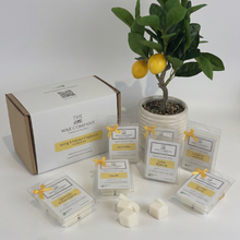 Wax Melts - Spring & Summer Fragrances 6 pack