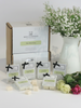 A collection of wax melt cubes from The Little Wax Company, displayed in front of a box with a 6 pack indication. The cubes are labeled with different fragrance names and are presented in clear packaging with black bows.