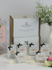 A collection of wax melt cubes from The Wax Company, displayed in front of their packaging. The cubes are white and there are labels in front of them with black text.